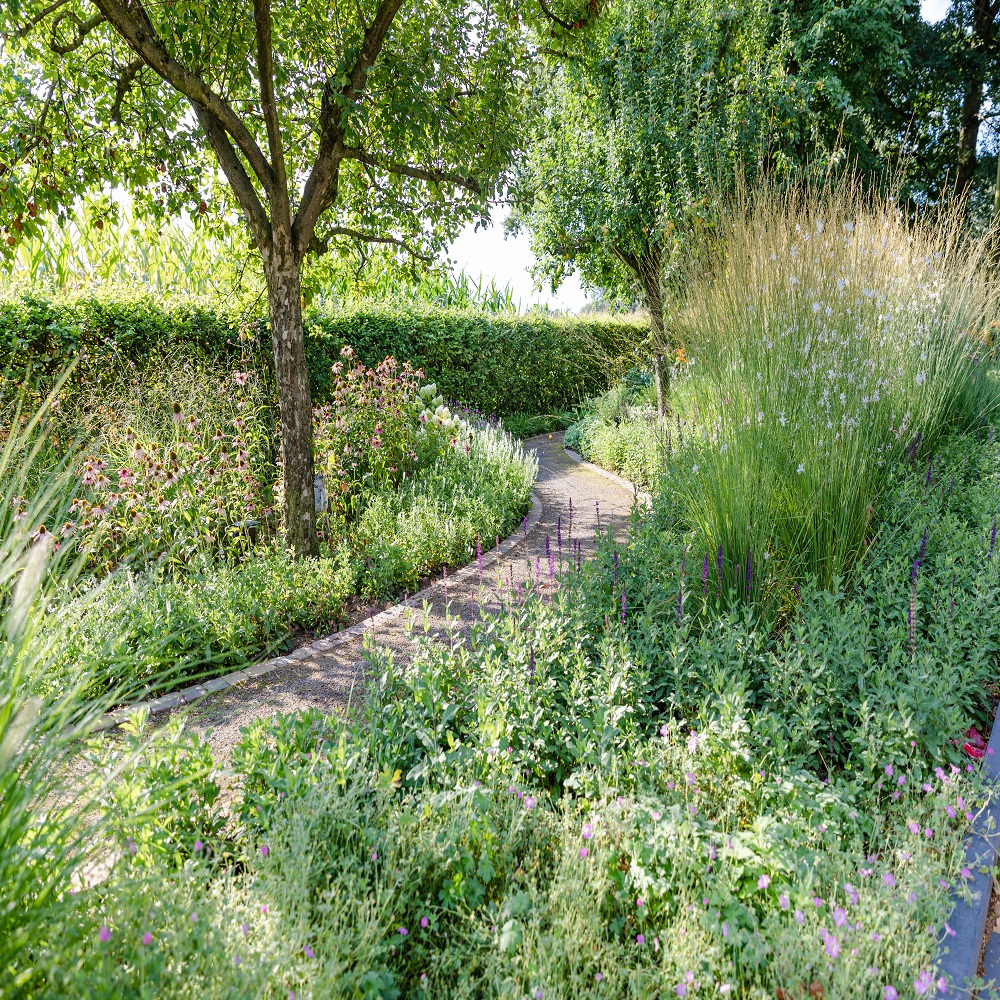 Naturgarten Bilder: Entdecke die Schönheit der Natur durch Zeichnen!